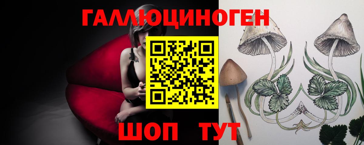 Галлюциногенные грибы прущие грибы  Вход с VPN  Севастополь 