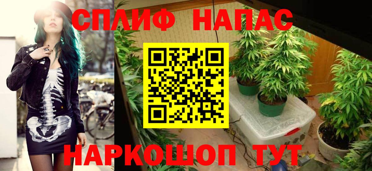 Канабис гибрид  Бошки Шишки OG Kush  Севастополь  Вход с VPN  Марихуана White Widow 